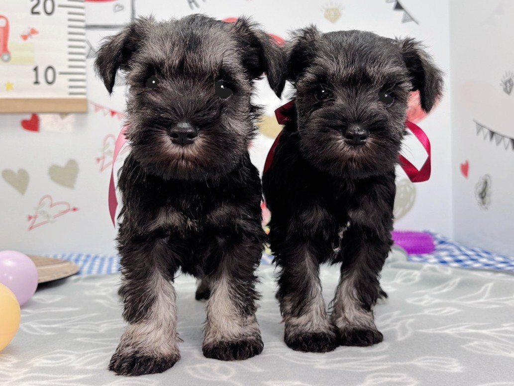 赤ちゃん写真2-3