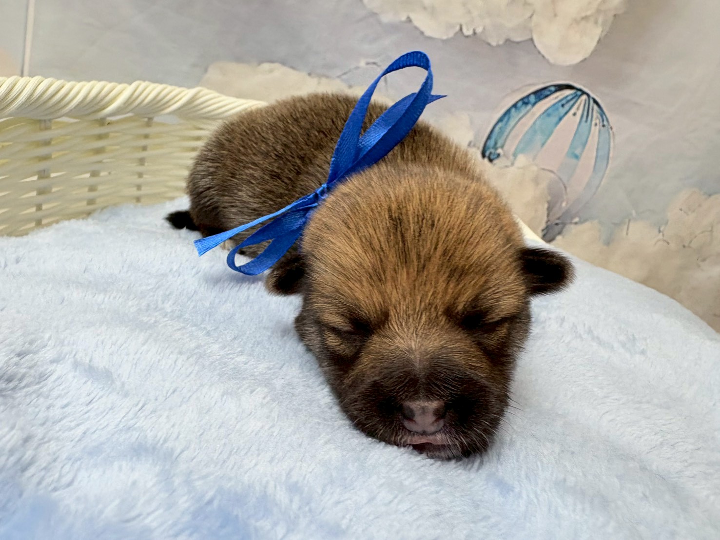 赤ちゃん写真1-1