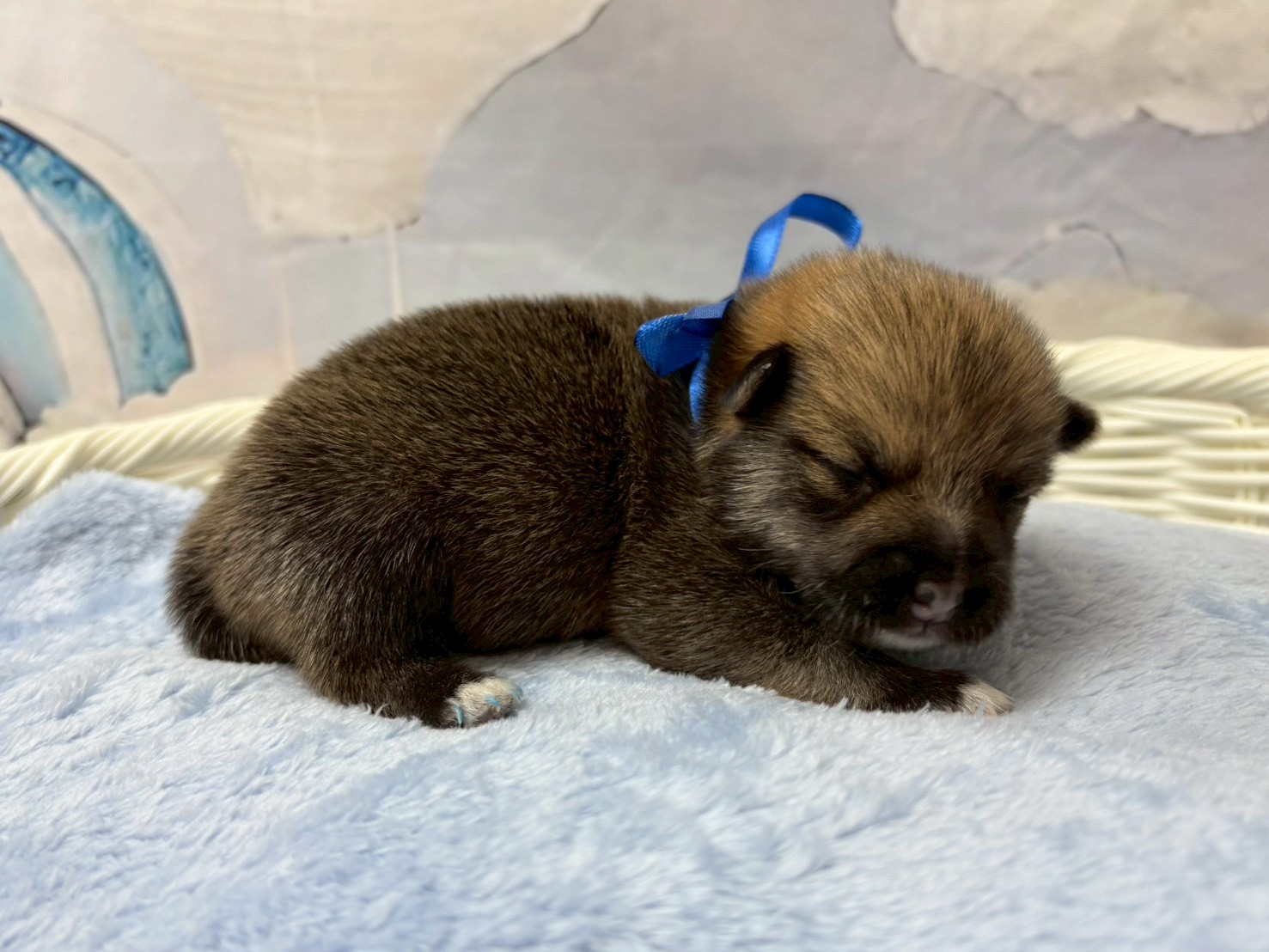 赤ちゃん写真1-2