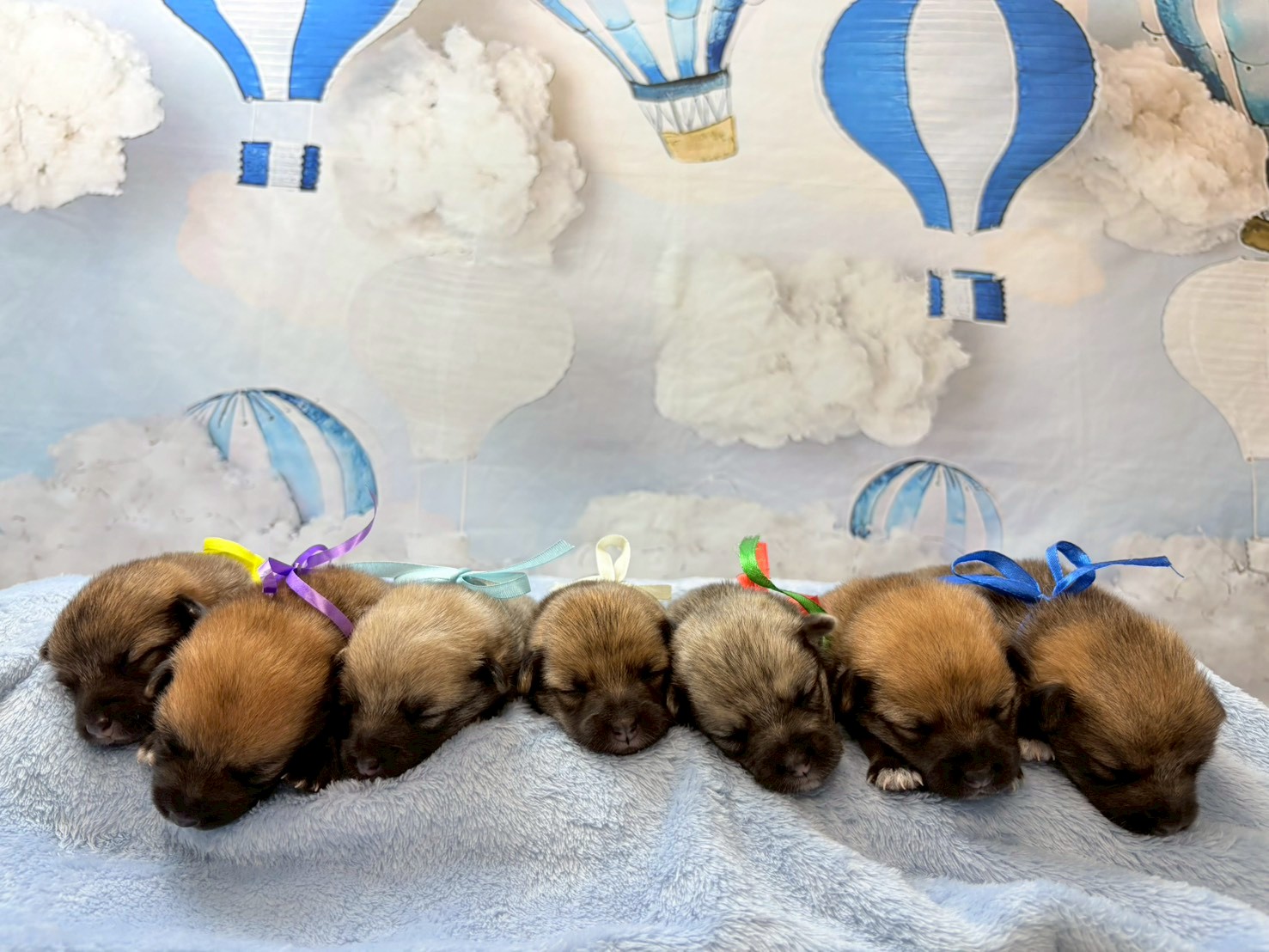 赤ちゃん写真1-3