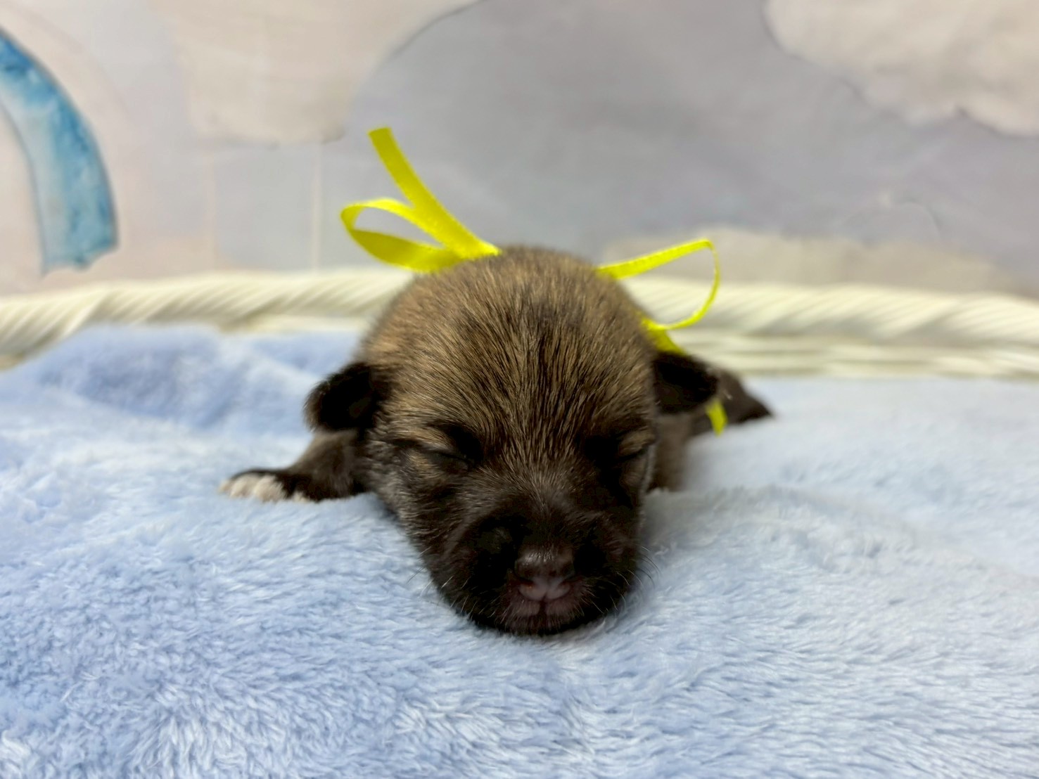 赤ちゃん写真1-1