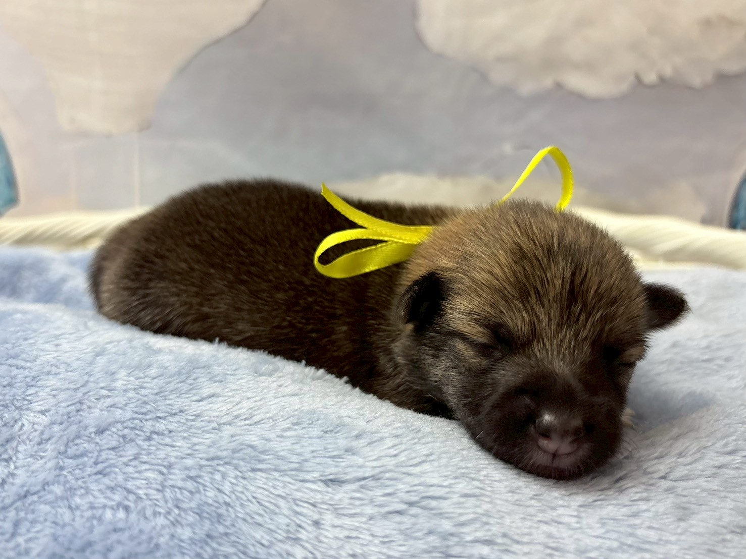 赤ちゃん写真1-2