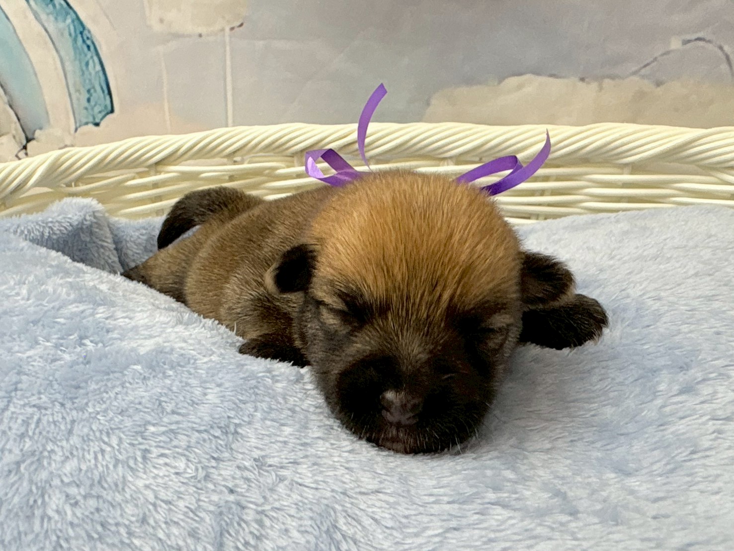 赤ちゃん写真1-1