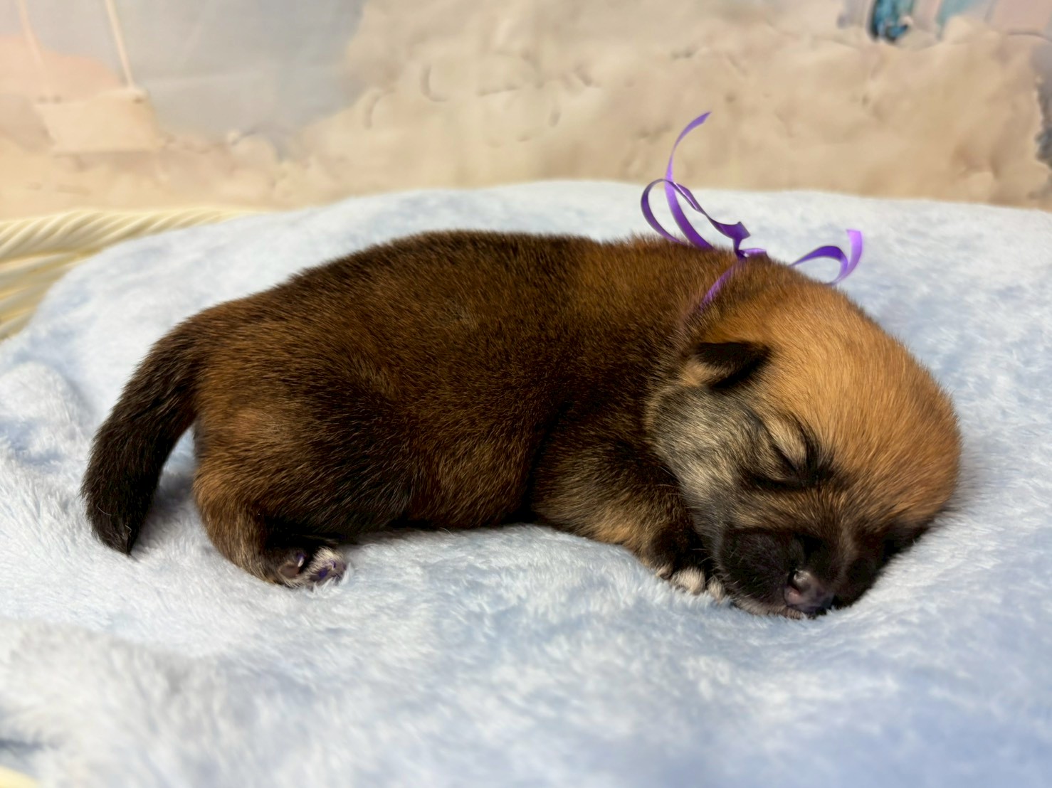 赤ちゃん写真1-2