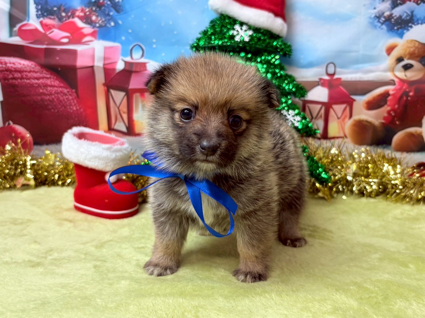 赤ちゃん写真2-1