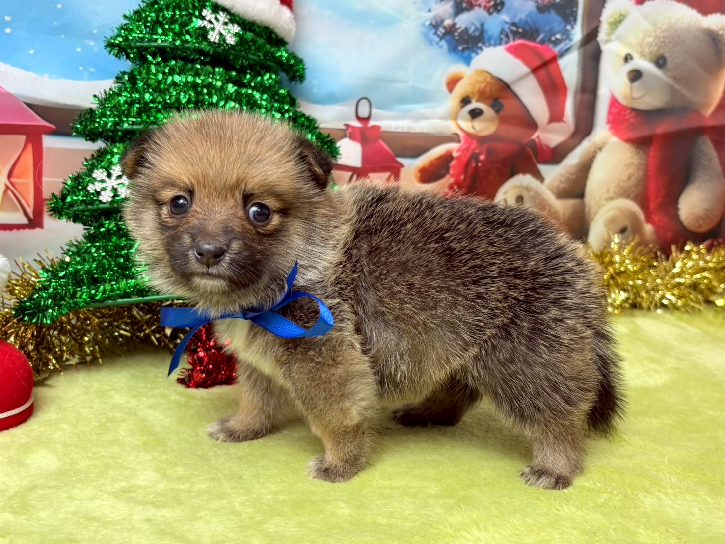 赤ちゃん写真2-2