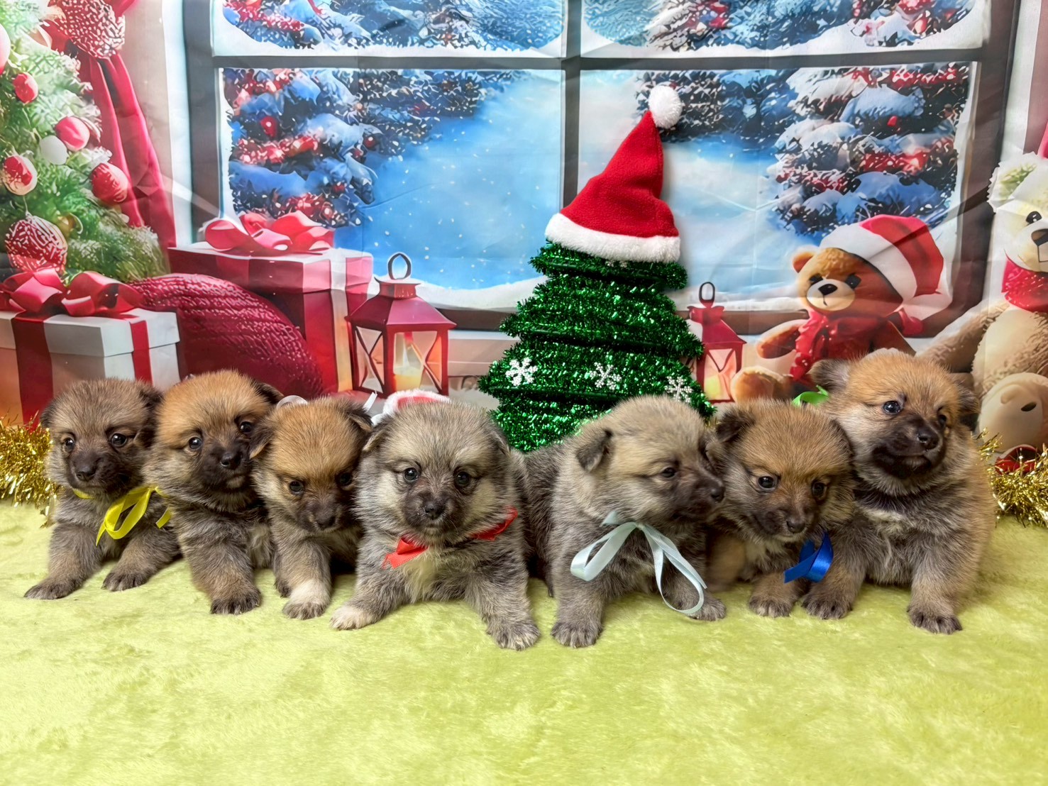 赤ちゃん写真2-3