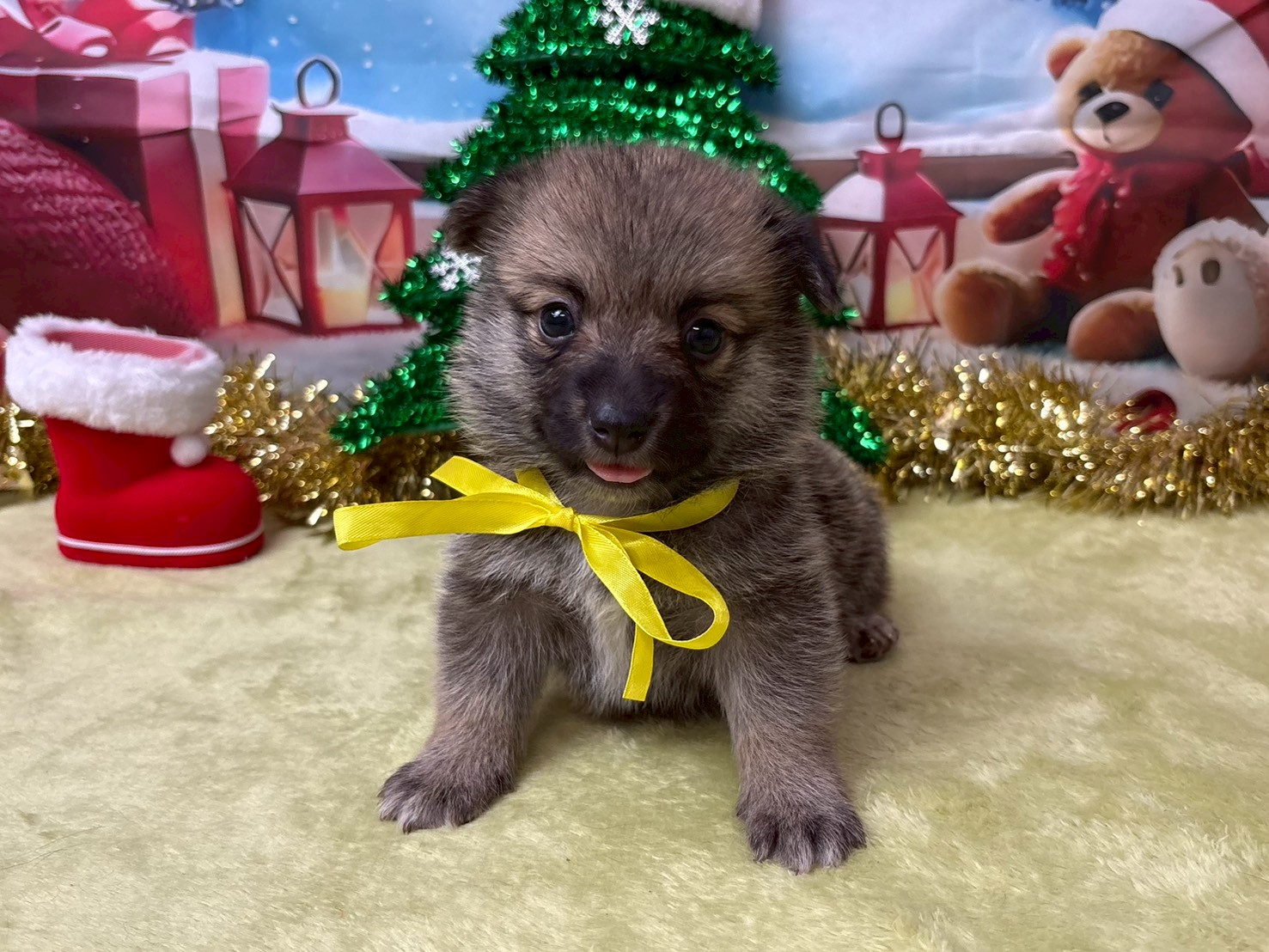 赤ちゃん写真2-1