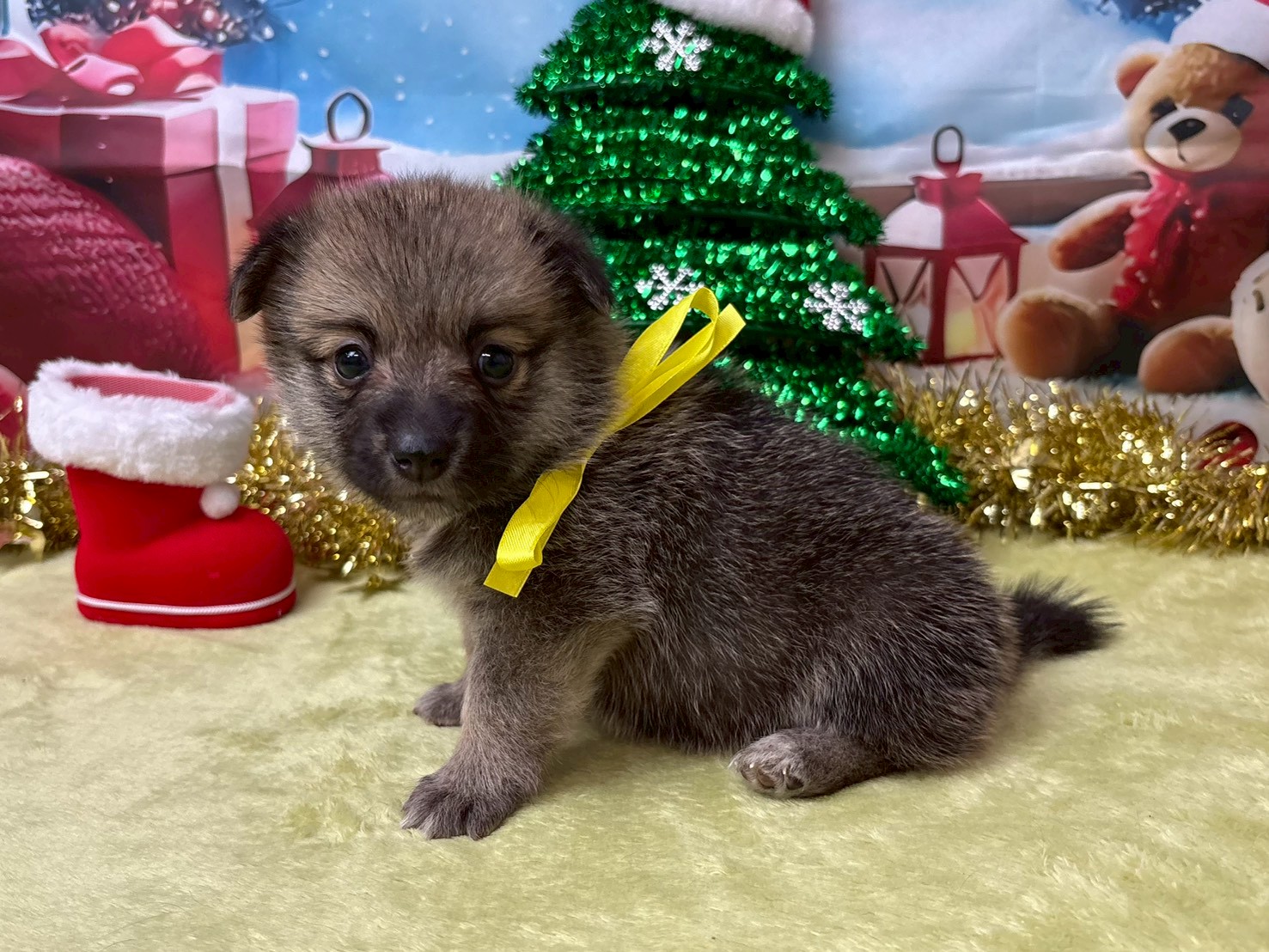 赤ちゃん写真2-2