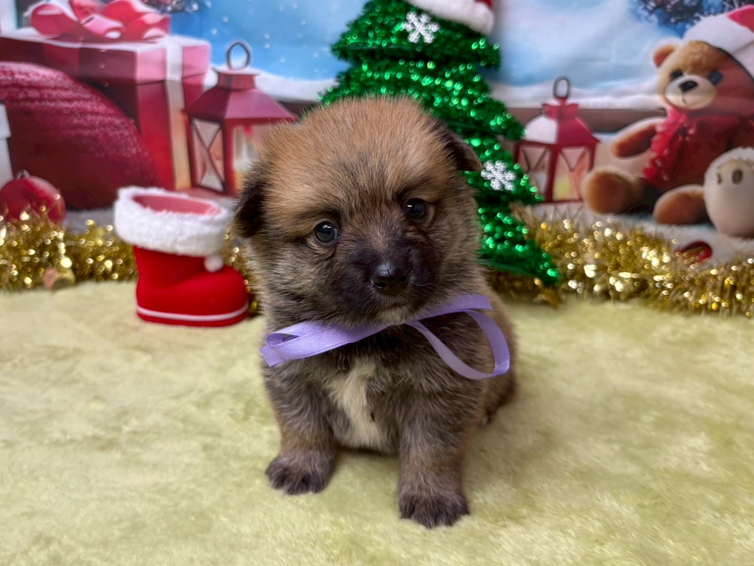 赤ちゃん写真2-1