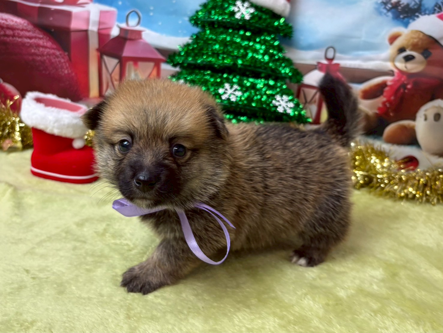 赤ちゃん写真2-2