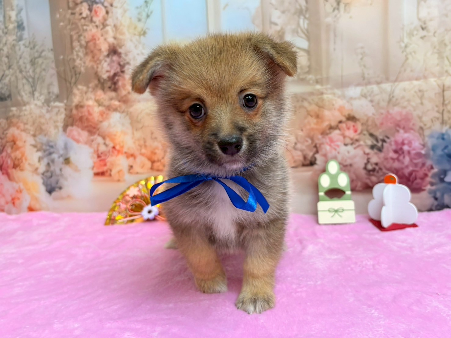 赤ちゃん写真3-1