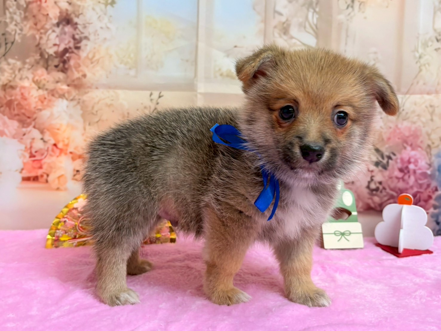 赤ちゃん写真3-2