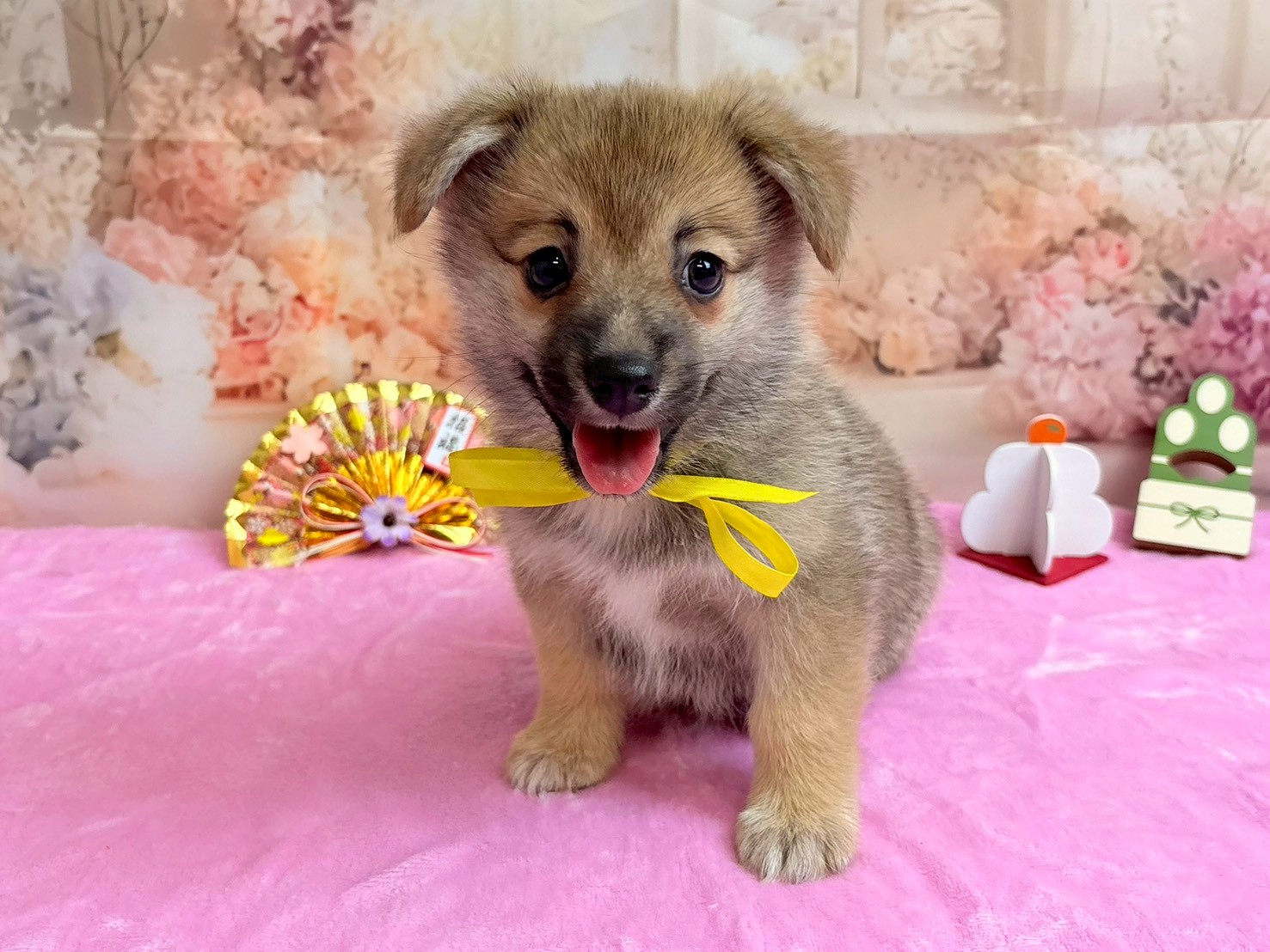 赤ちゃん写真3-1