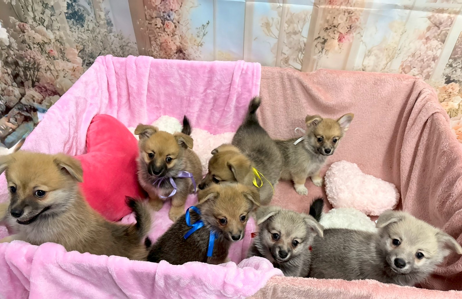 赤ちゃん写真3-3