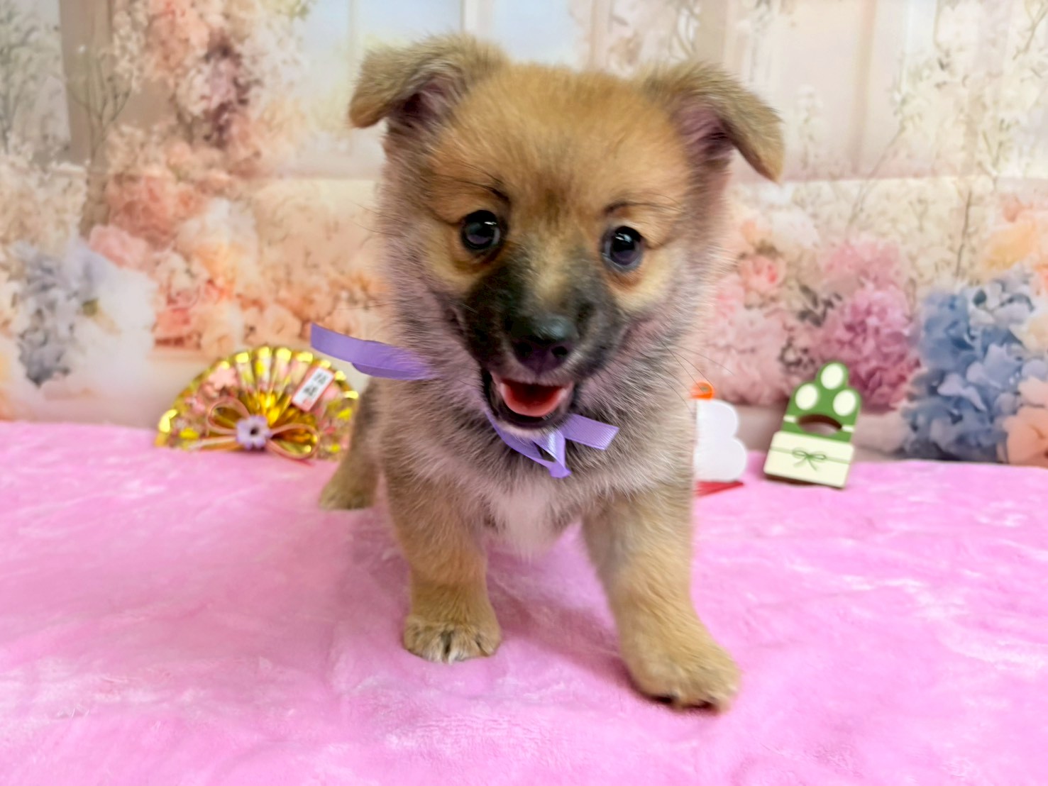 赤ちゃん写真3-1