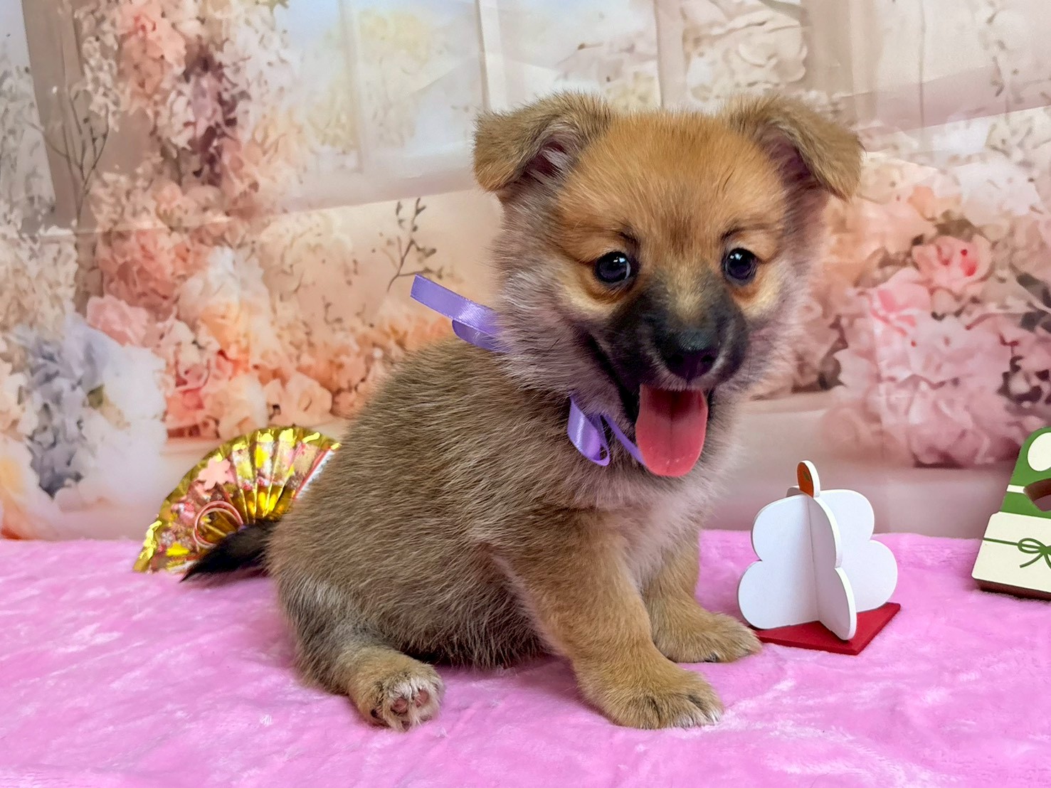 赤ちゃん写真3-2