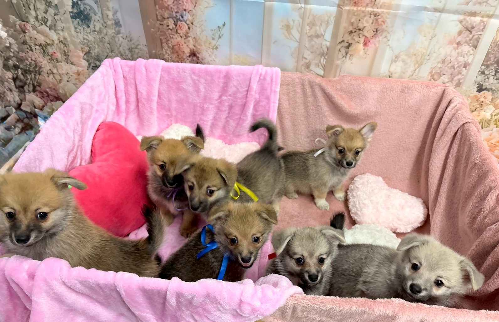 赤ちゃん写真3-3