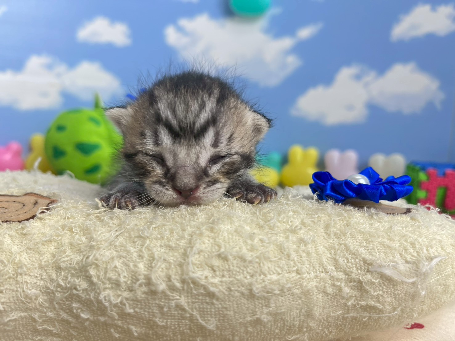 赤ちゃん写真1-1