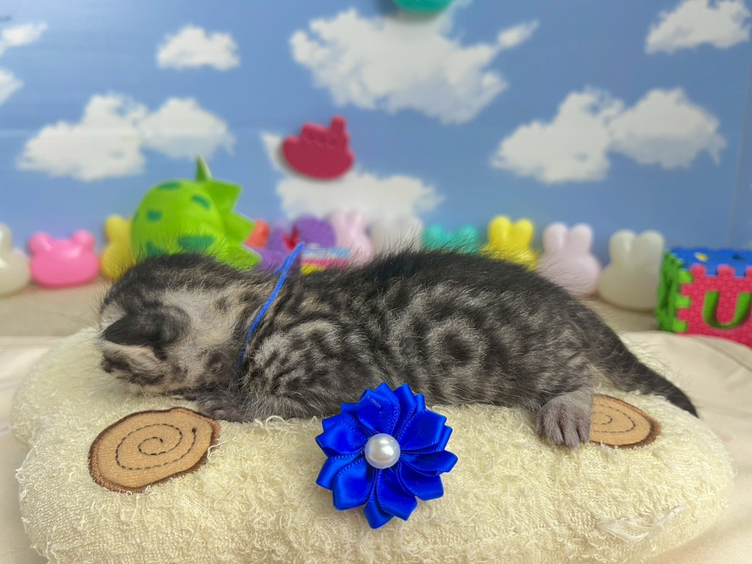 赤ちゃん写真1-2