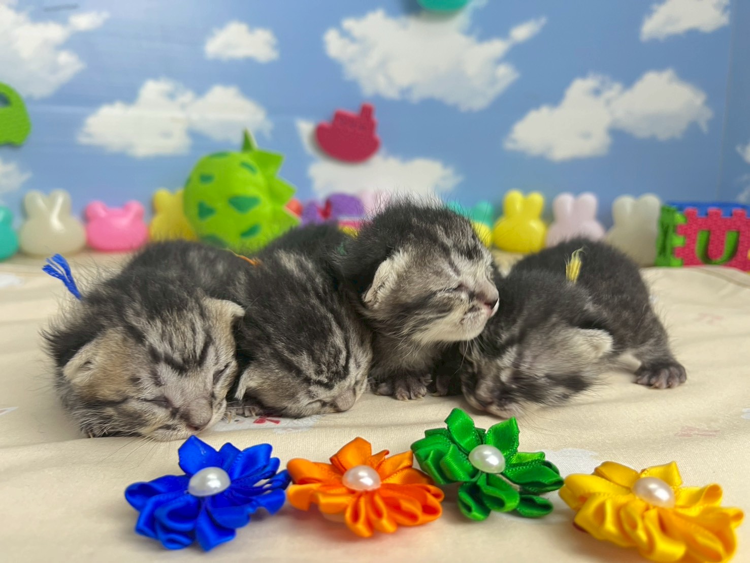 赤ちゃん写真1-3