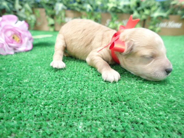 赤ちゃん写真1-2