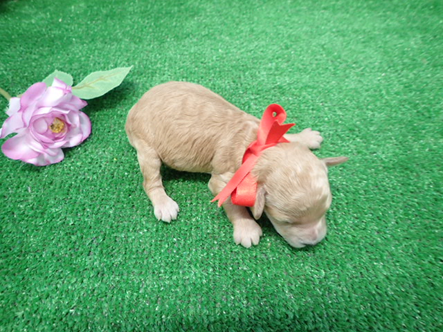 赤ちゃん写真1-3