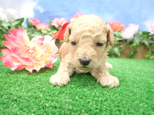 赤ちゃん写真2-1