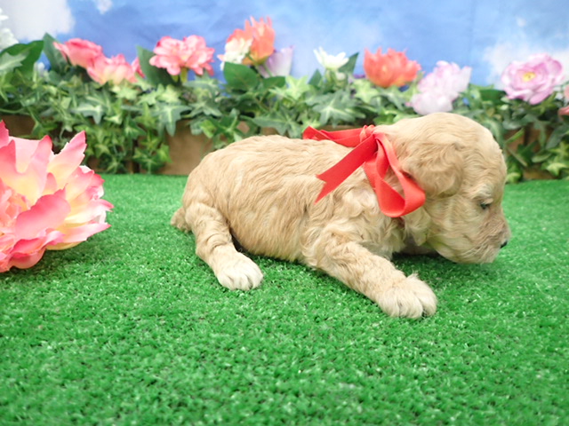 赤ちゃん写真2-2