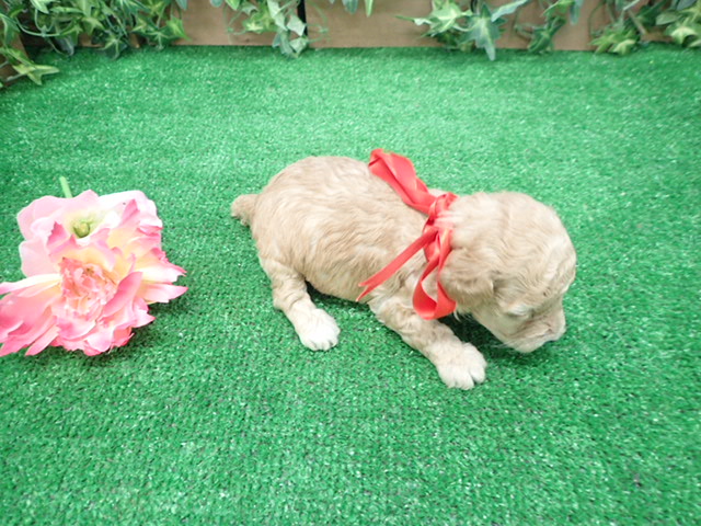 赤ちゃん写真2-3