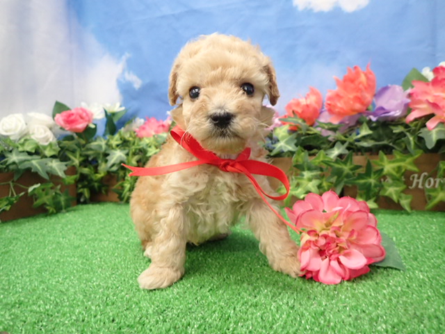 赤ちゃん写真3-1