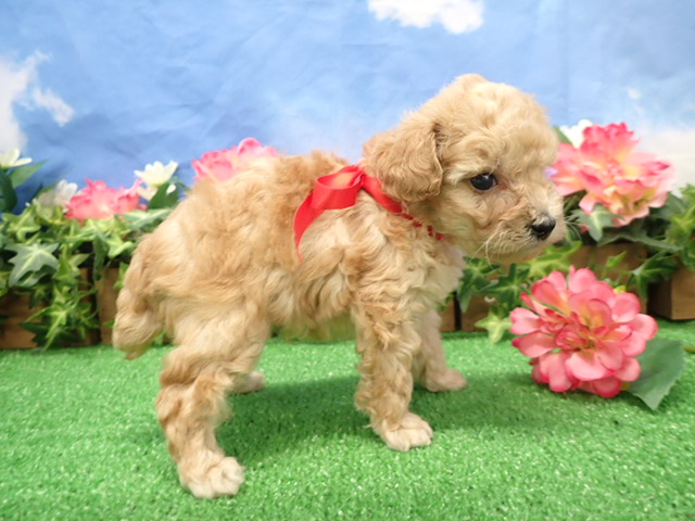 赤ちゃん写真3-2