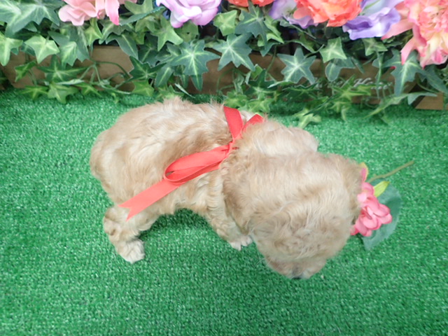 赤ちゃん写真3-3