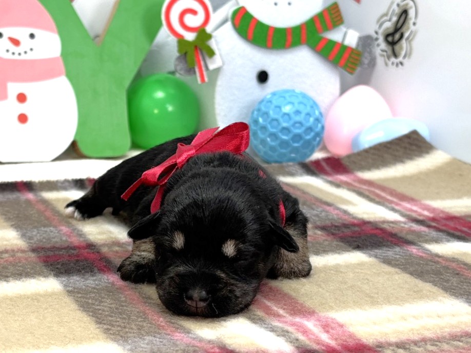 赤ちゃん写真1-1