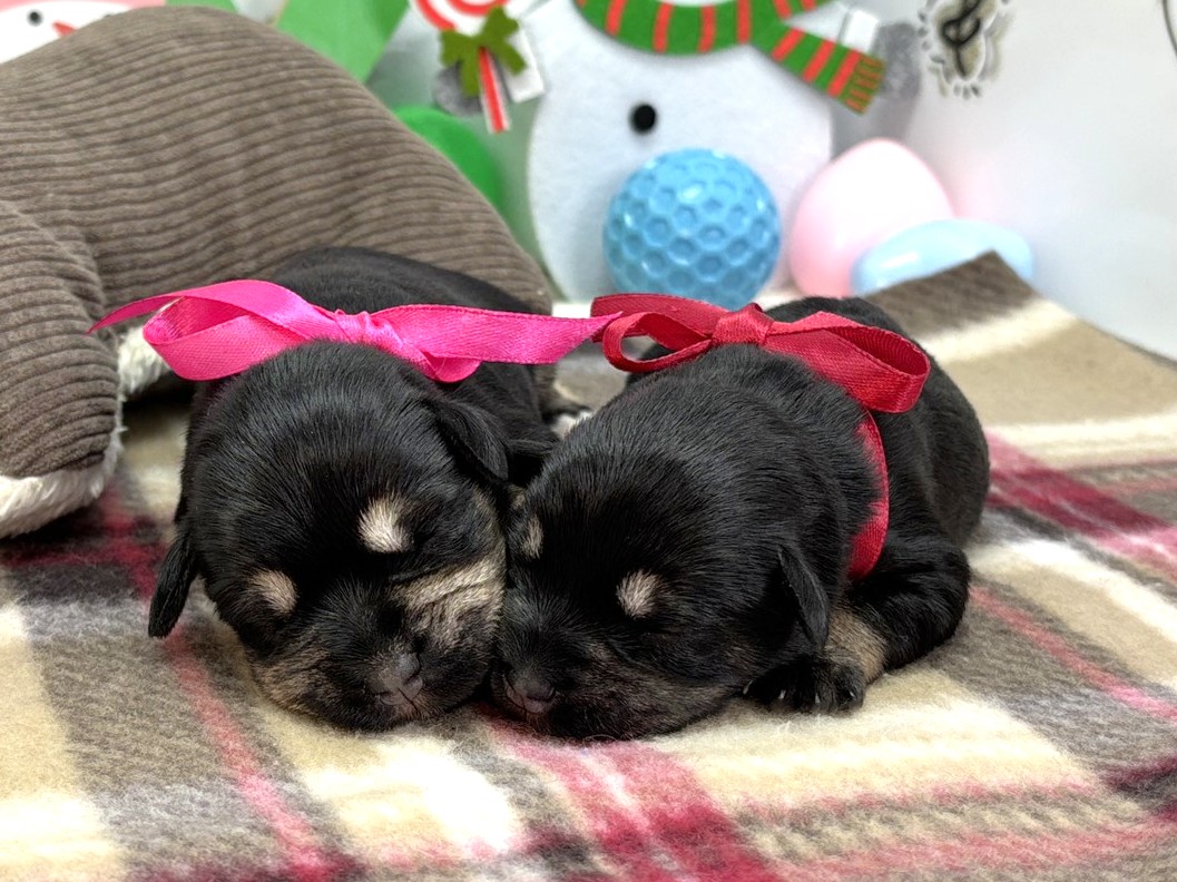 赤ちゃん写真1-3