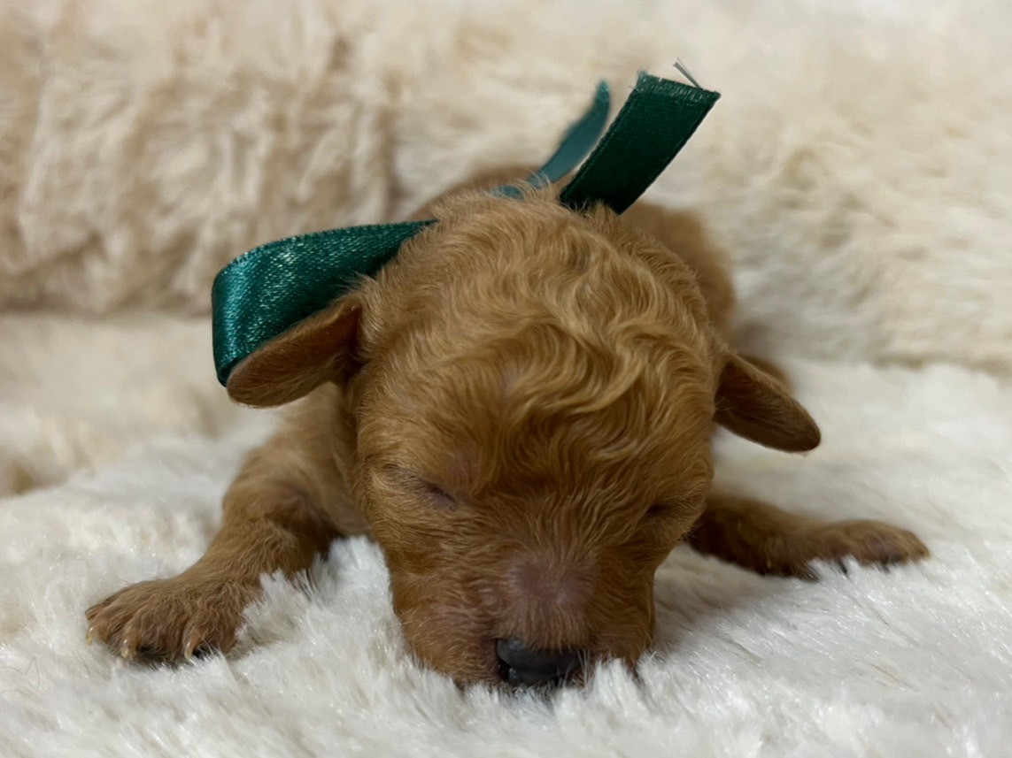 赤ちゃん写真1-1