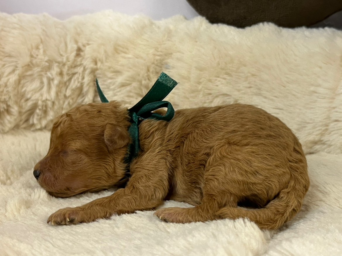 赤ちゃん写真1-2