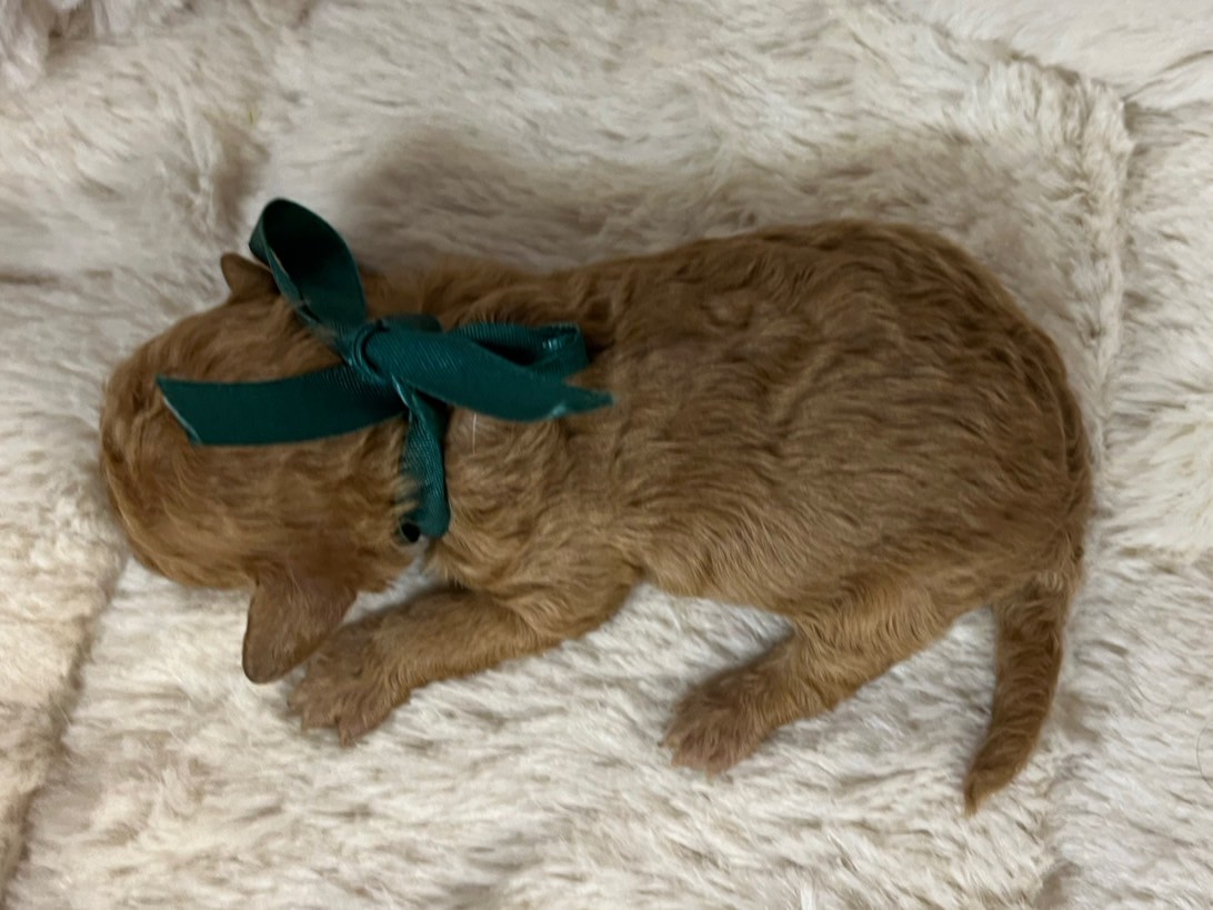 赤ちゃん写真1-3