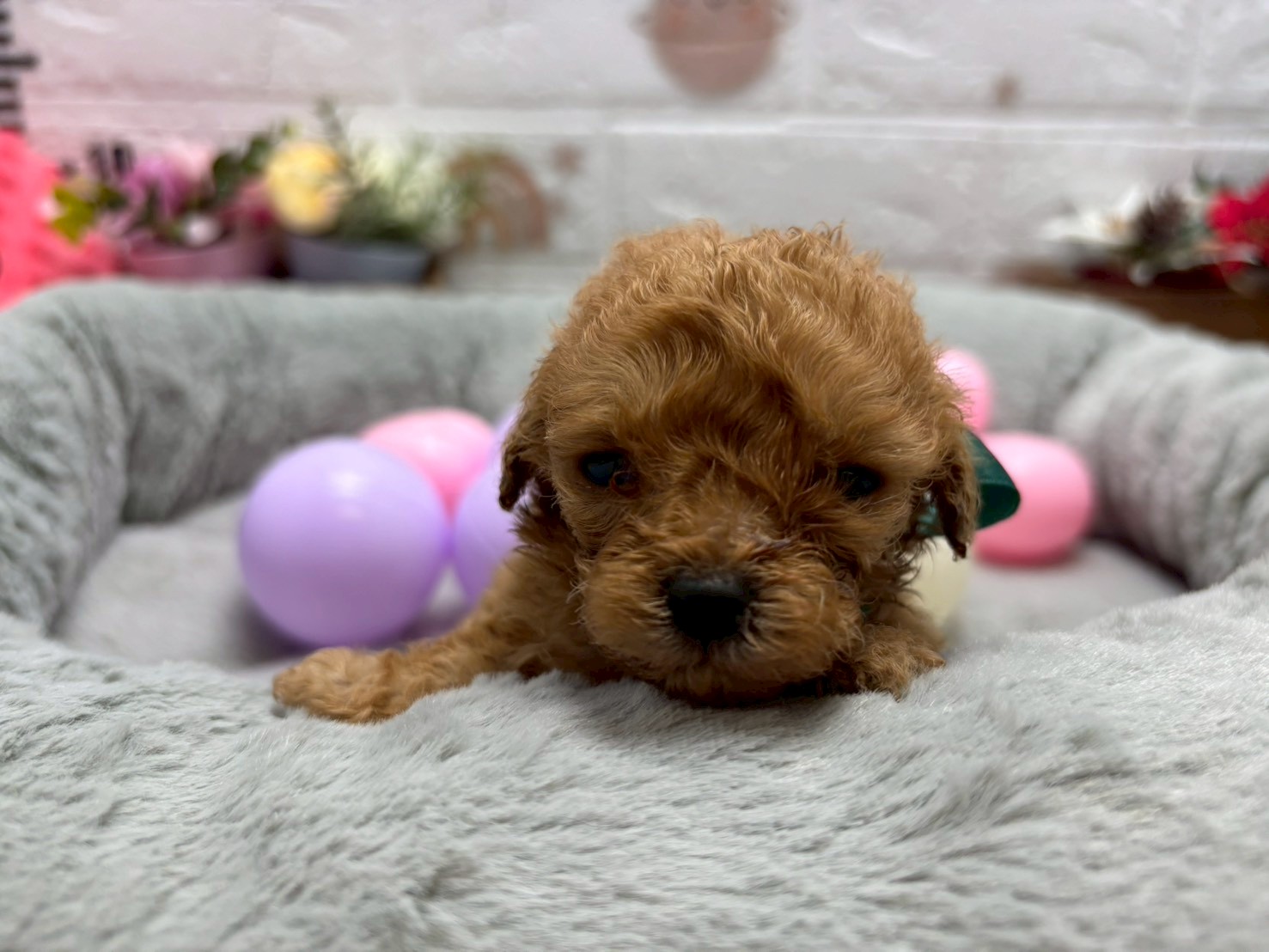 赤ちゃん写真2-1