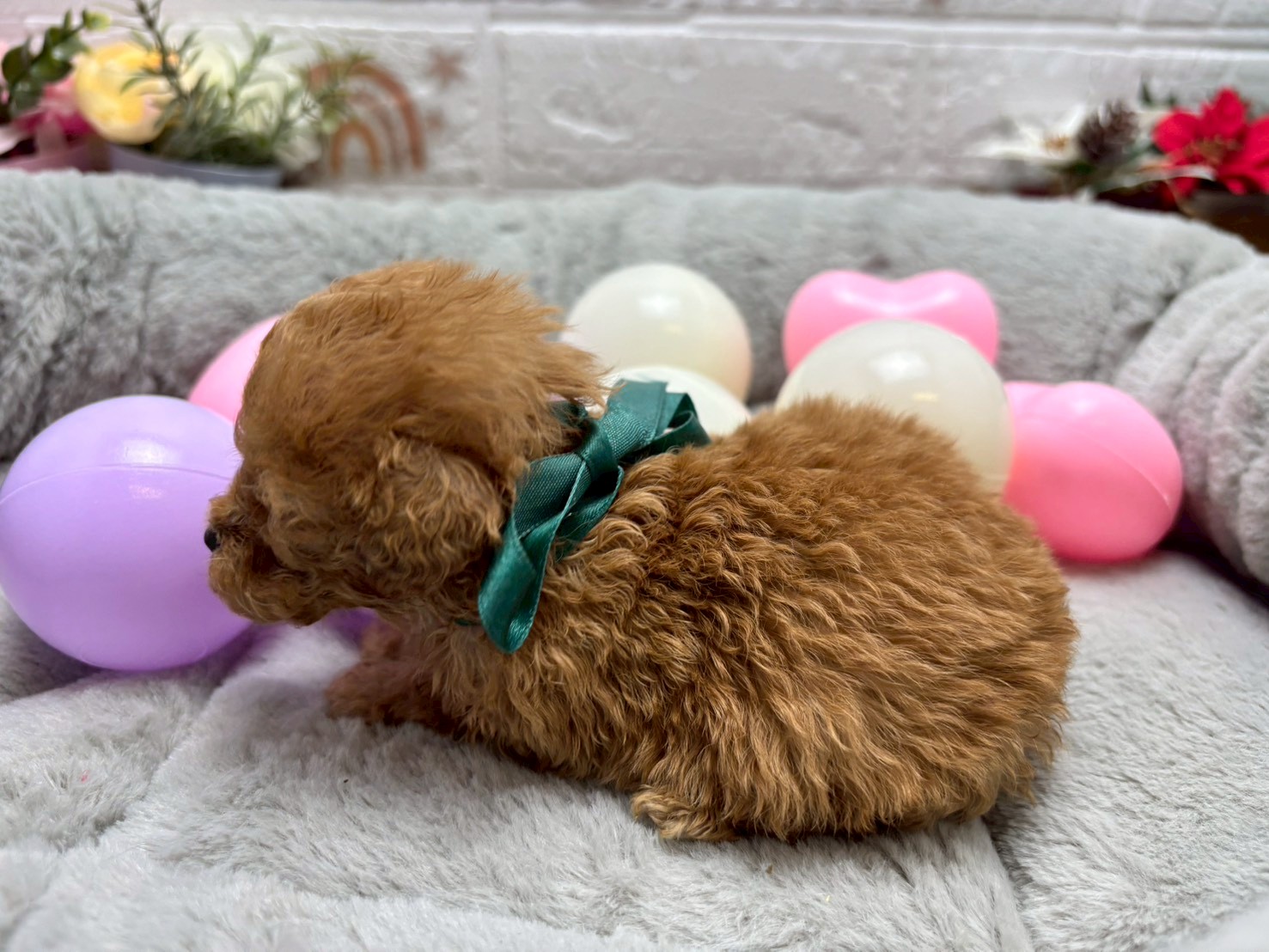 赤ちゃん写真2-2