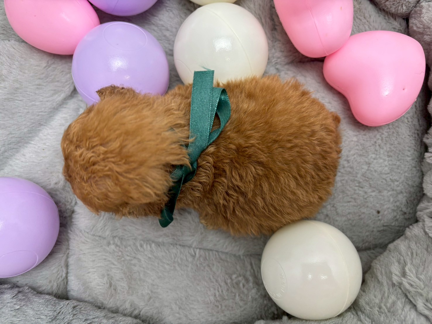 赤ちゃん写真2-3