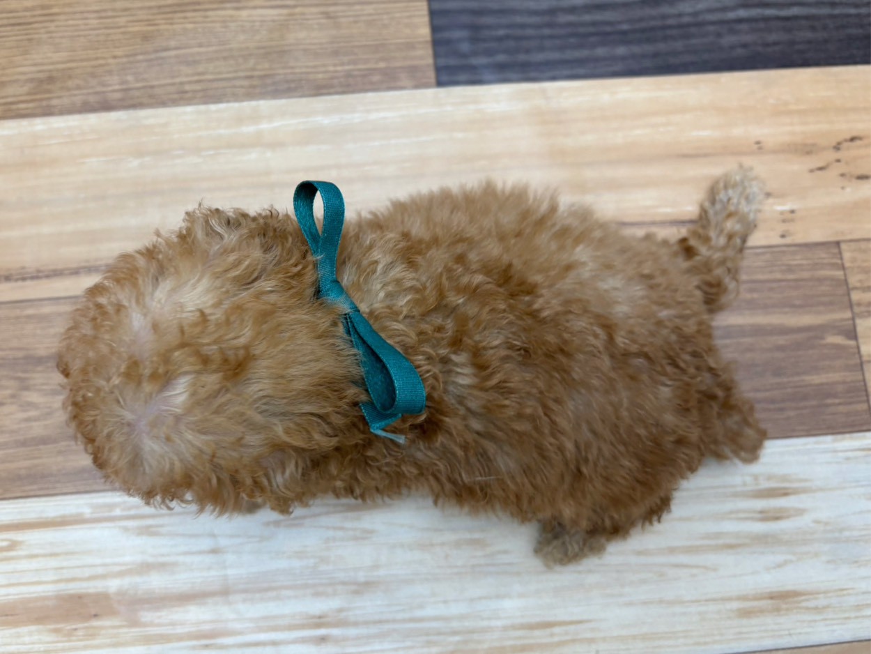 赤ちゃん写真3-3