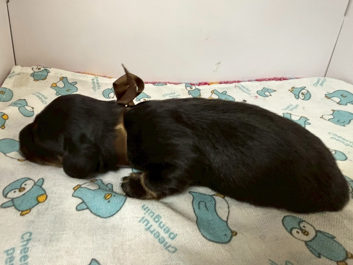 赤ちゃん写真1-2