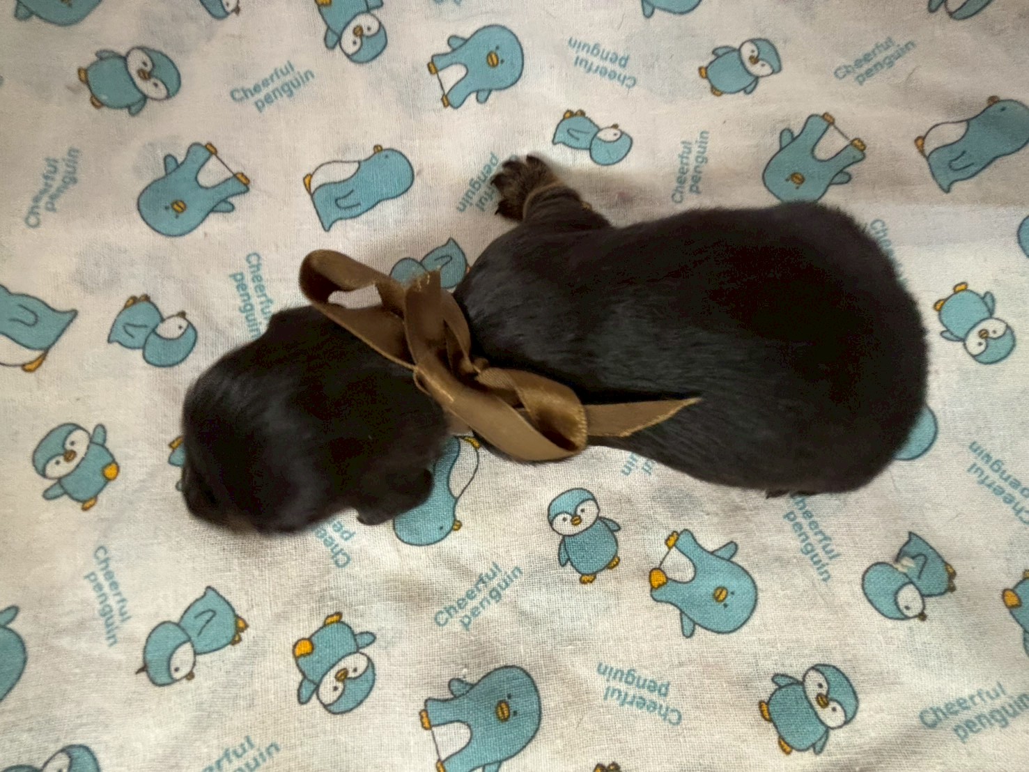 赤ちゃん写真1-3
