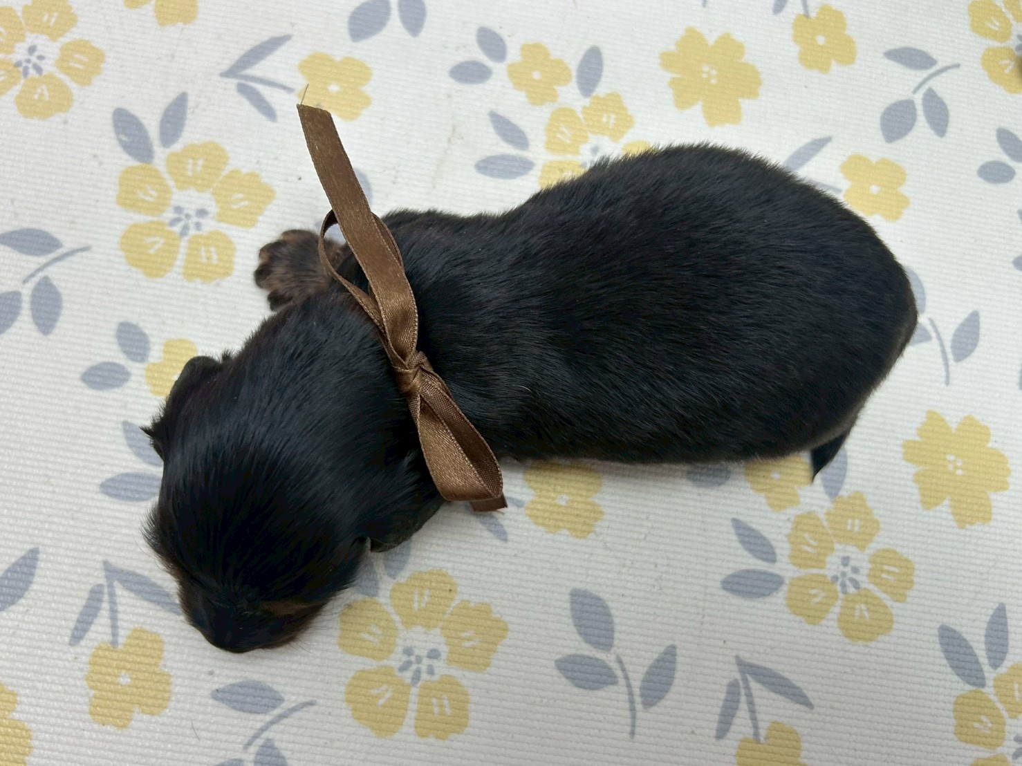 赤ちゃん写真2-3