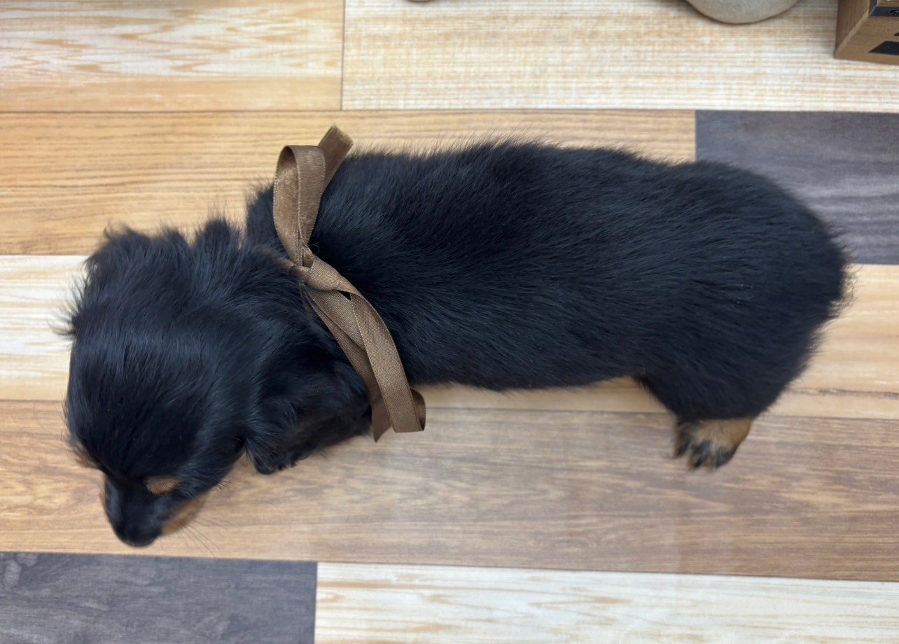 赤ちゃん写真3-3
