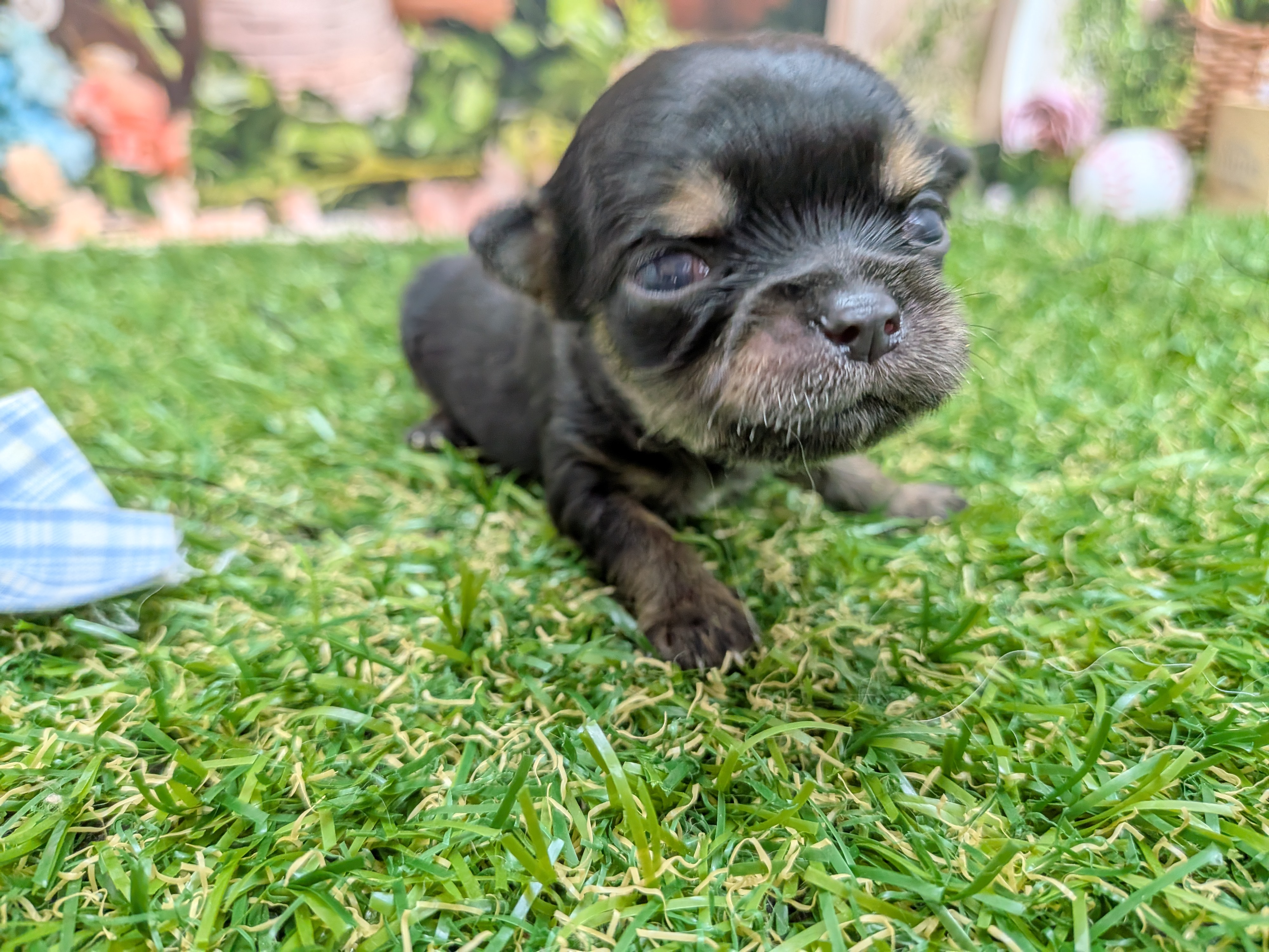 赤ちゃん写真1-1