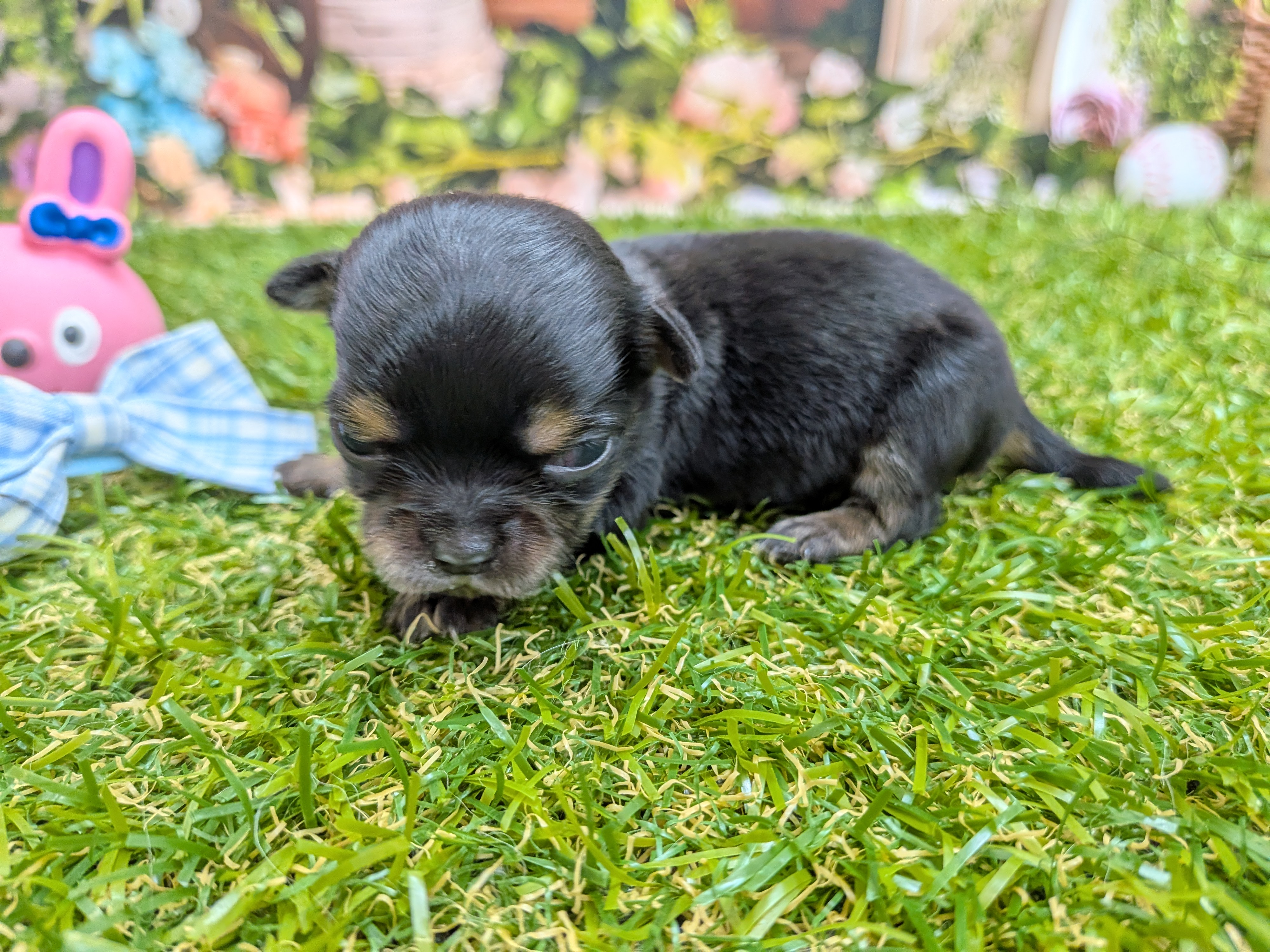 赤ちゃん写真1-2