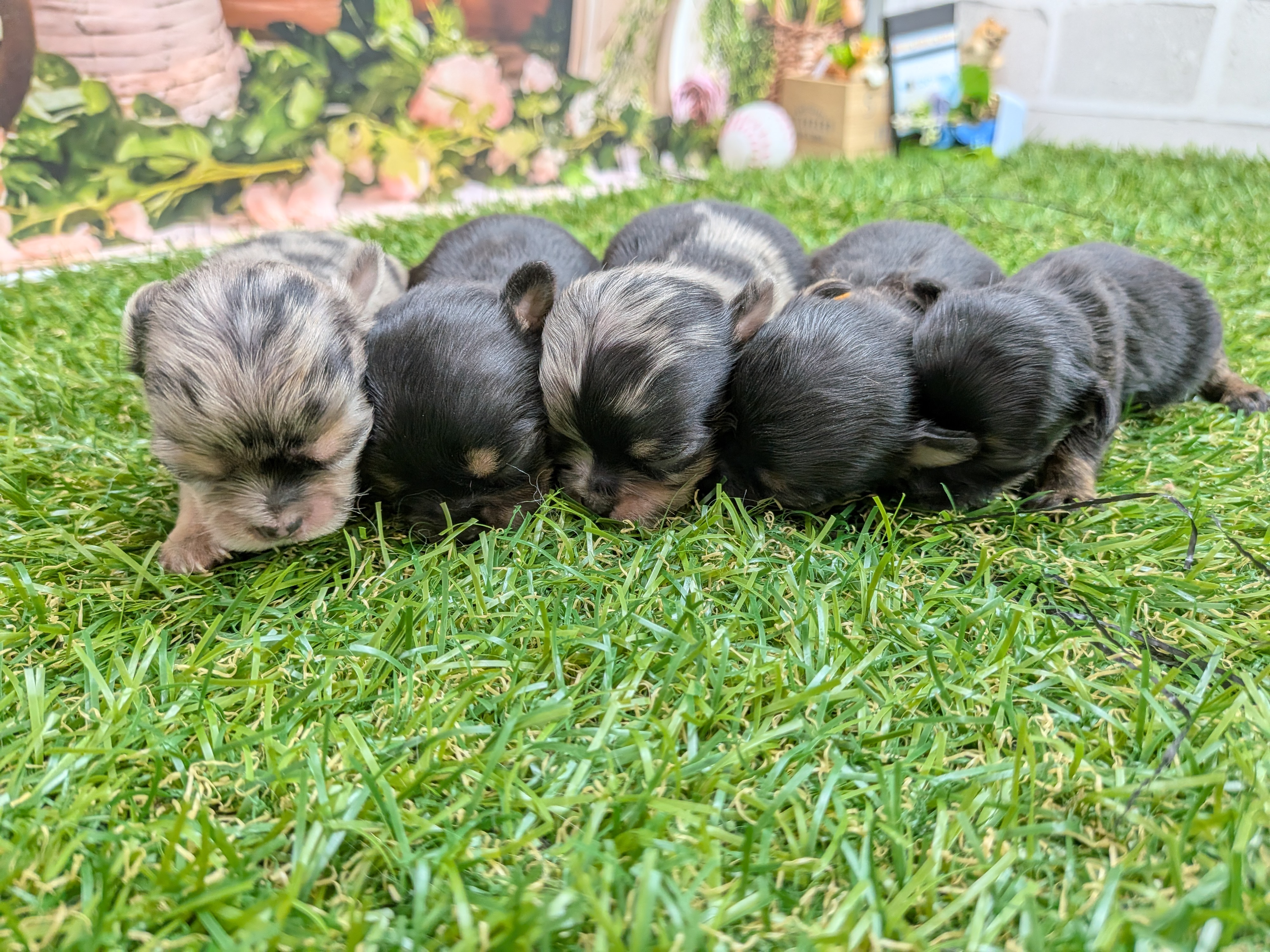 赤ちゃん写真1-3