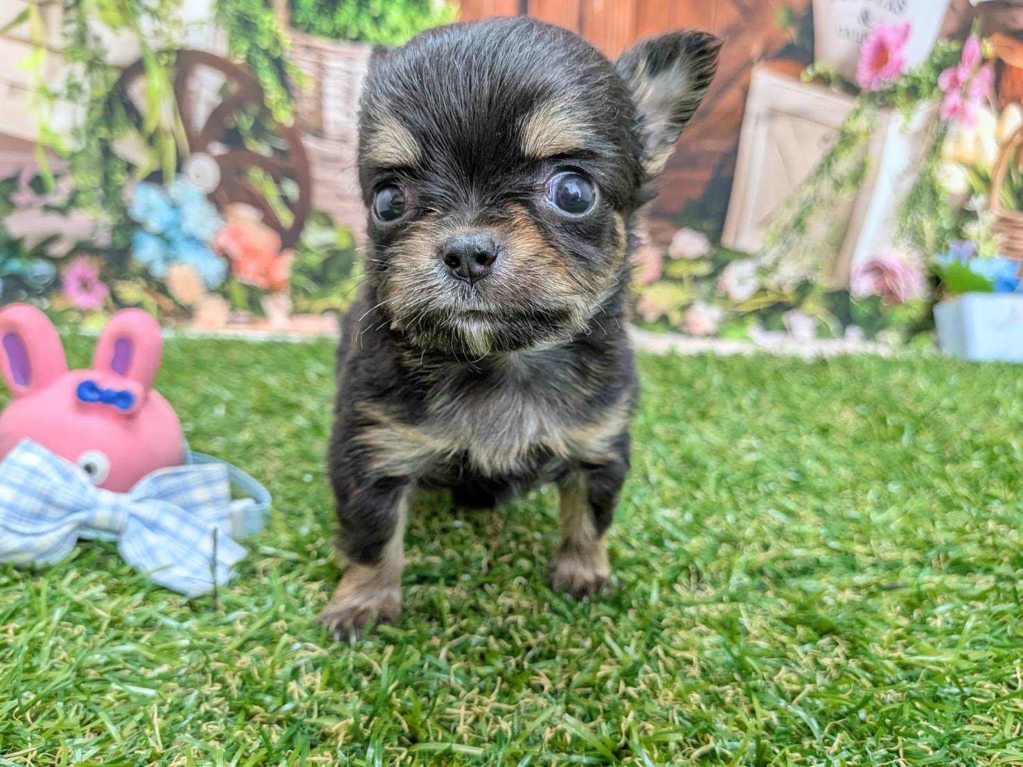 赤ちゃん写真2-1